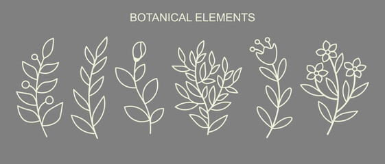 Botanical element set. Outline flowers isolated on dark background.