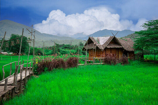 Bamboo house over rice fields, Mueang Kong, Chiang Dao Homestay in the forest House made of bamboo in Chiang Mai, Thailand