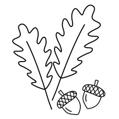 Oak leaves and acorns, autumn design elements, doodle style flat vector outline for coloring book