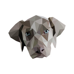 Dog Polygonal Portraits, Various Breeds PNG