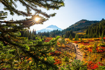 Man hiking on Naches Peak Loop Trail, autumn colors in Mt. Rainier National Park