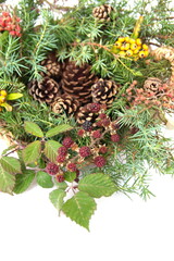 Christmas decor with wild berries, conifer cones, spruce branches on white background
