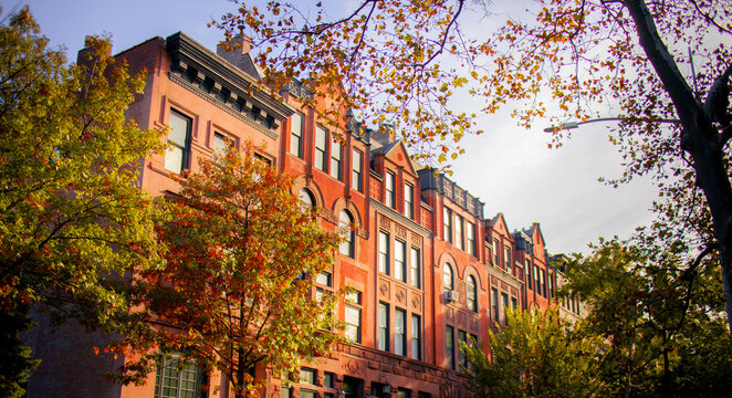 Sunlight shining on Greenwich apartment with autumn foliage