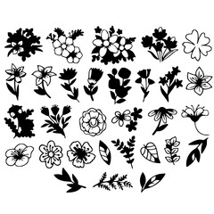 set of floral elements