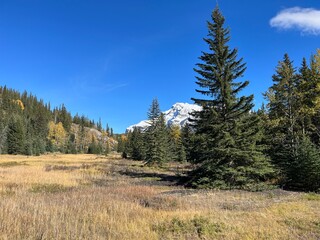 Cascade Mountain creek in Banff 