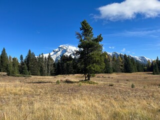 Cascade Mountain creek in Banff 