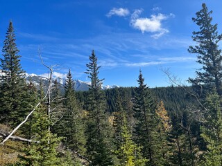 Cascade Mountain creek in Banff 