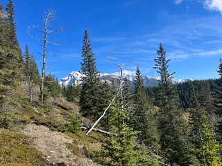 Cascade Mountain creek in Banff 