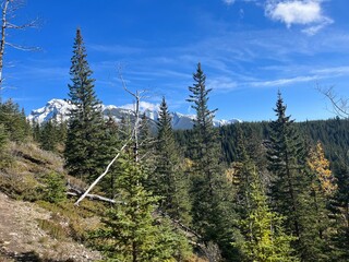 Cascade Mountain creek in Banff 