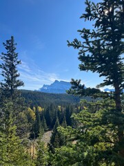 Cascade Mountain creek in Banff 