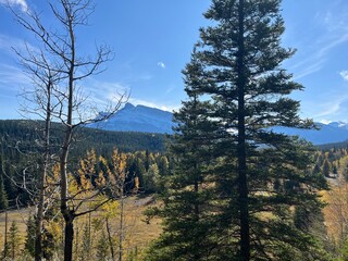 Cascade Mountain creek in Banff 