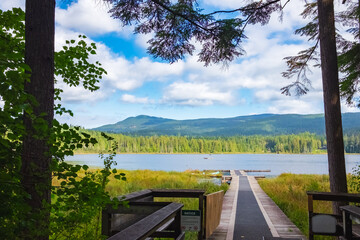 Beautiful lakeside view from a forest lake in BC Canada, with lush green trees and blue sky. Landscape of forest lake