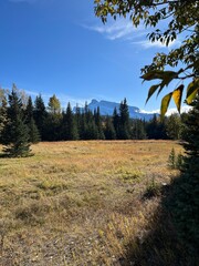 Cascade Mountain creek in Banff 