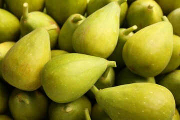 Many fresh green figs as background, closeup