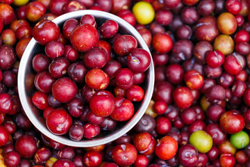 fresh red plum background for sale  in fruit market