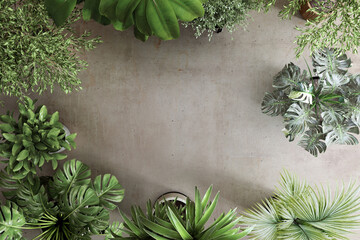 Background image of houseplants on a concrete floor