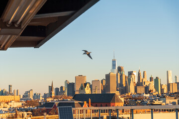 A seagull flies above the subway tracks in front of a golden hour view of the Manhattan skyline as seen from a subway platform in Brooklyn