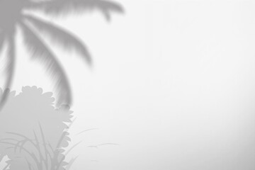 Natural plant grey shadow on white wall.