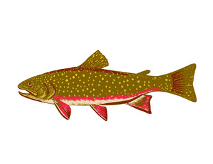 WPA poster art of a brook trout or Salvelinus fontinalis viewed from side done in works project administration or federal art project style.
