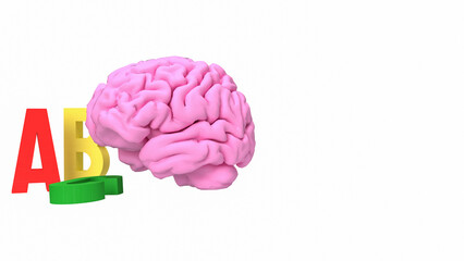 The alphabet  and brain for education or sci concept 3d rendering