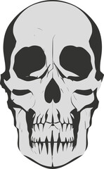 Human skull isolated on white background. Design . Vector illustration