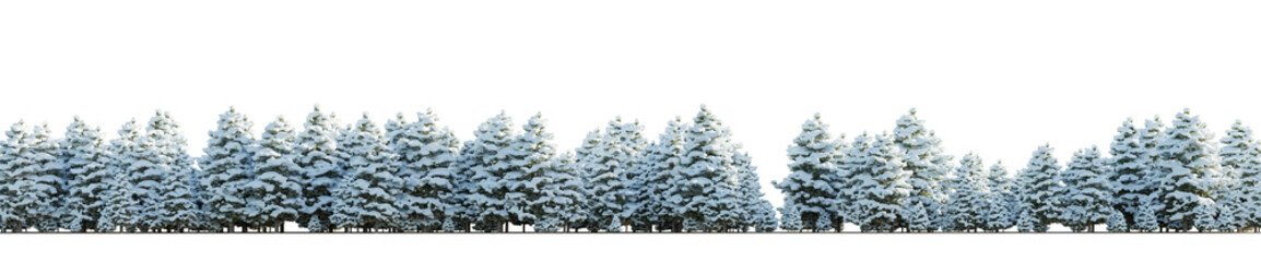 isolated winter conifer tree, best use for skyline background. - Powered by Adobe