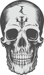 Black and white vector human skull illustration