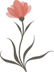 Obraz premium Pretty Red Pink Flower and Green Leaves Vector