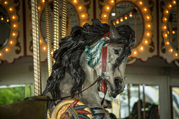 head of a merry-go-round horse surrounded by lights in an amusement park