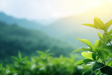 Image of lush green leaves with mountains in the background., Natural., Generative AI, Illustration.