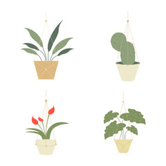 Hanging Potted Plant with Simple Decoration. Isolated Vector Collection. 