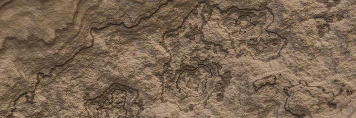 Brown weathered rock surface texture.