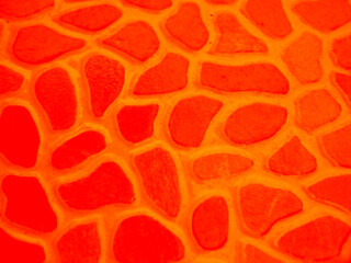 Red stone pattern surface