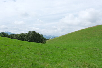 Obraz premium 대관령 양떼목장 녹색 초원의 하늘이 보이는 고원 벌판 나무와 풀과 산책로 들판의 평화로운 경관