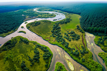 Aerial view of a river delta with lush vegetation and winding channels