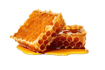 Honeycomb  isolated on transparent background