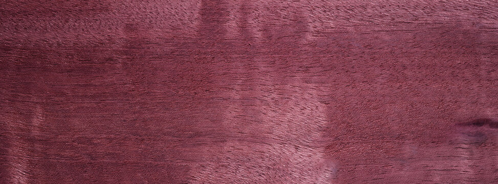 Closeup texture of wooden flooring made of Purpleheart