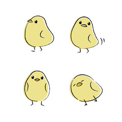 ふわふわひよこのイラスト　カラー