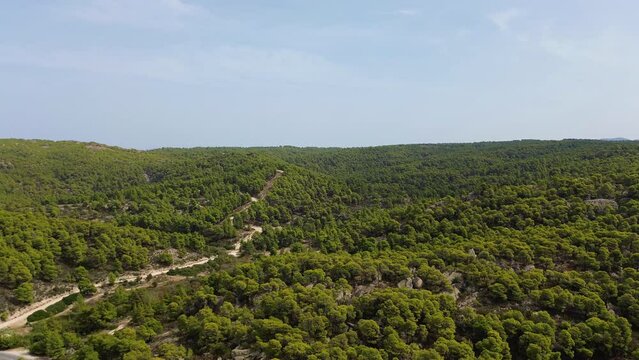Forest in Greece close to Kalogria and Nikiti in Halkidiki. Green forest during the summer close to the coast 4K