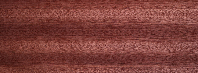 Closeup texture of wooden flooring made of Sapele