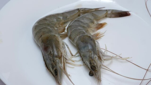 Shrimp on a plate, ready to be cooked