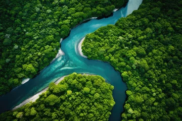 Fototapete Waldfluss Top view of a river flowing in a rainforest