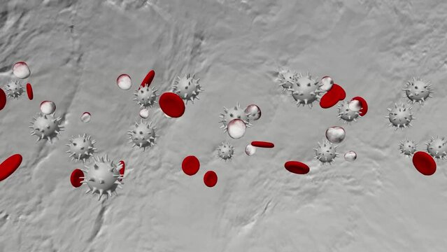 Animation of High-density lipoprotein particles (HDL) also known as good cholesterol, in the blood. Higher HDL levels correlate with lower risk of cardiovascular disease