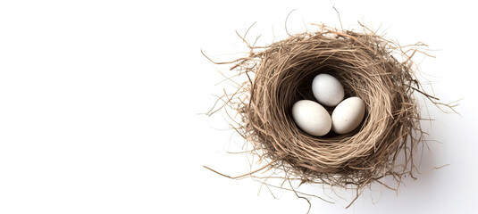 nest with eggs on a white background, copy space - obrazy, fototapety, plakaty