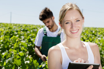 happy people working in vineyard