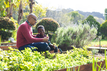 Happy african american grandfather and grandson looking at plants in sunny garden, copy space © WavebreakMediaMicro