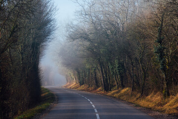 une route asphalte dans les bois en automne. Chemin en for&ecirc;t pendant l'automne. For&ecirc;t automnale travers&eacute;e par une route. route en pointill&eacute; traversant un bois pendant l'automne. Brume sur une route 