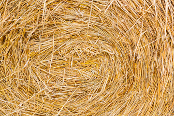 straw summer background. haystack straw prepared for farm. Stack dry hay. Hay texture. Hay bale is stacked in large stack. rural autumn with hay. Stacking bales