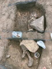 Prehistoric skeleton on archaeological research