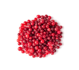 Frozen Lingonberry, Iced Cowberry, Snow Cranberry, Red Viburnum Berries, Frozen Lingonberry